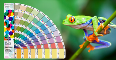 Технология цифрового многокрасочного цветоделения